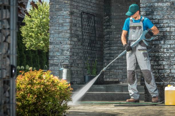 Best Roof Washing  in Forest Park, IL