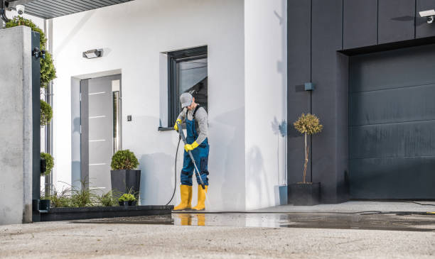 Best Animal Enclosure Cleaning  in Forest Park, IL